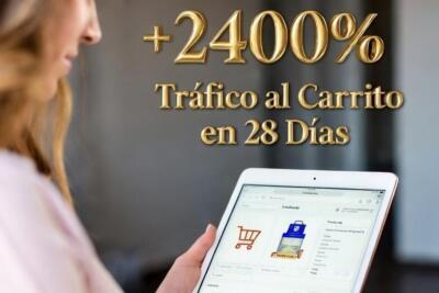 (Guía SEO 2025 E-commerce: +2400% Tráfico Directo al Carrito en 28 Días )